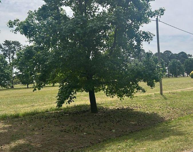 Terreno · 600m²