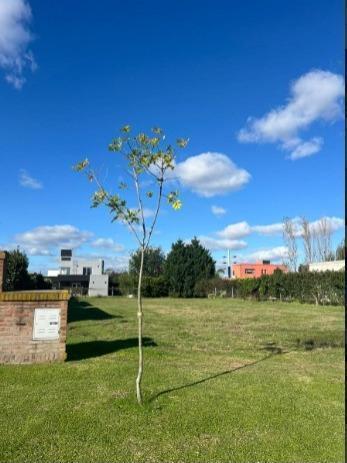 Terreno · 808m²