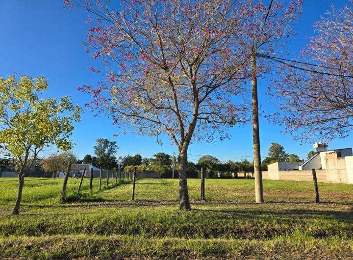 Terreno · 313m²
