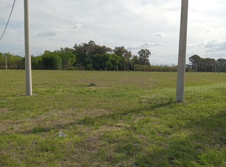Terreno