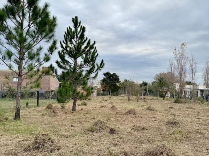 Terreno · 1009m²
