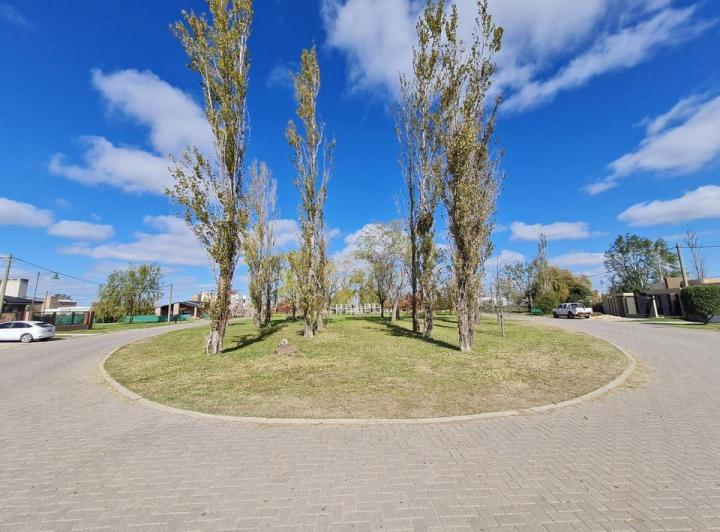 Terreno · 592m²