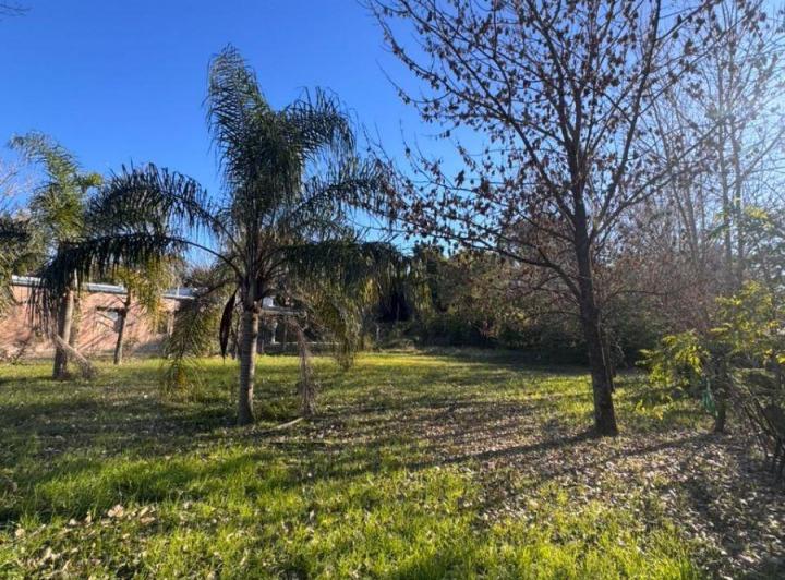 Terreno · 985m²
