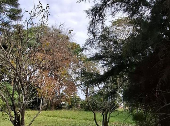 Terreno · 655m²