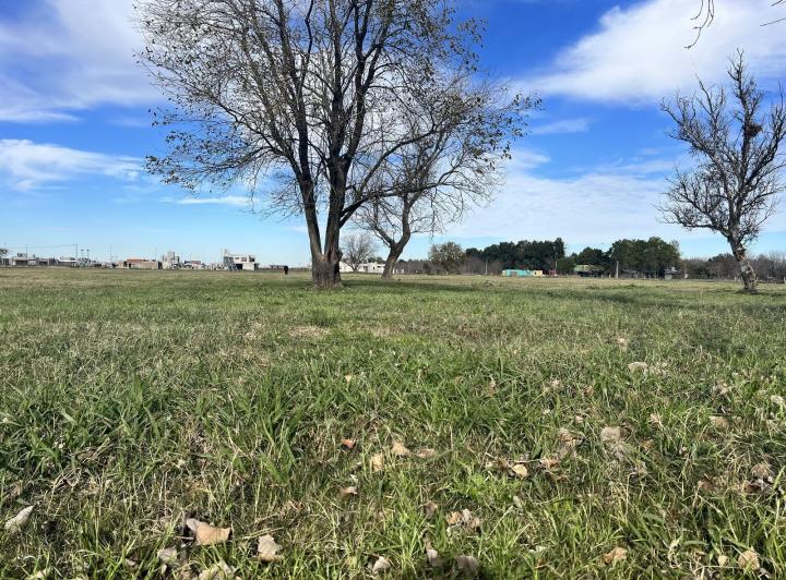 Terreno · 501m²
