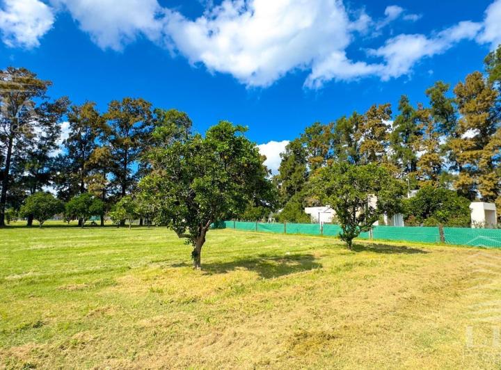 Terreno · 784m²