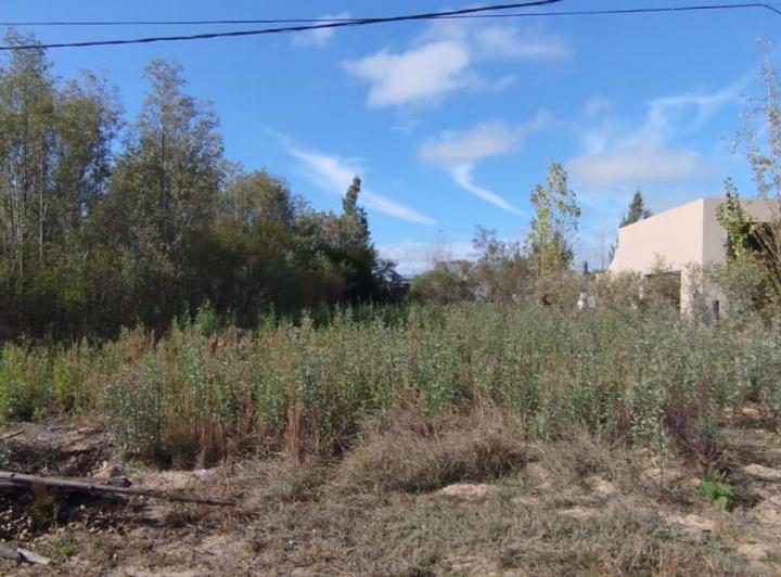 Terreno · 675m²