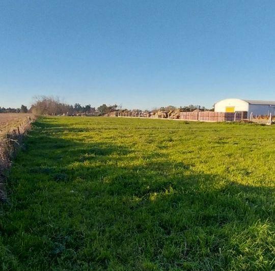 Terreno · 6249m²