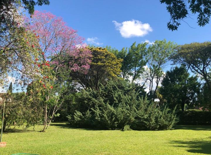 Terreno · 1690m²