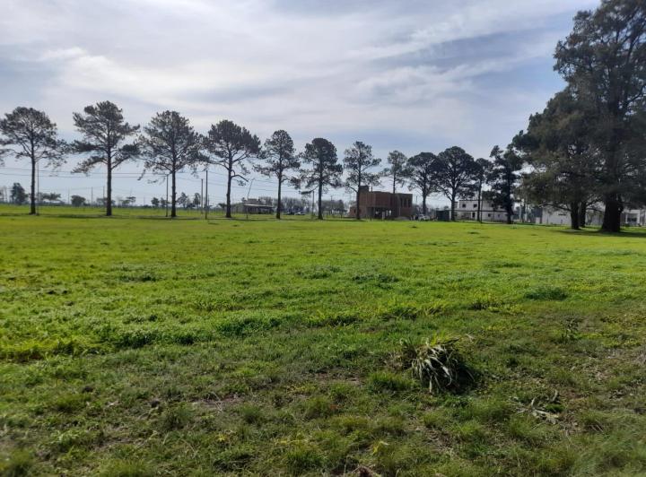 Terreno · 600m²
