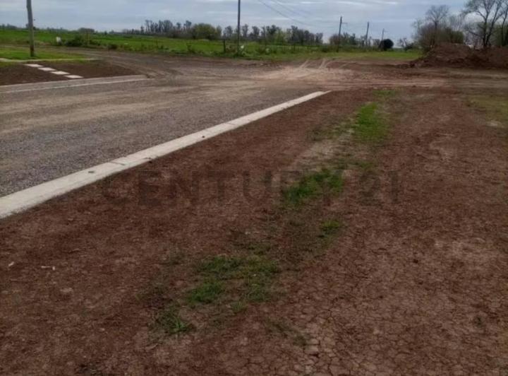 Terreno · 551m²