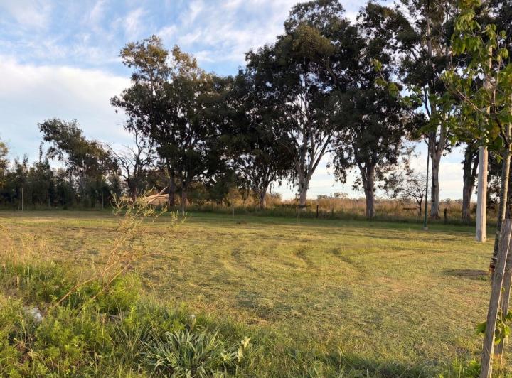 Terreno · 547m²