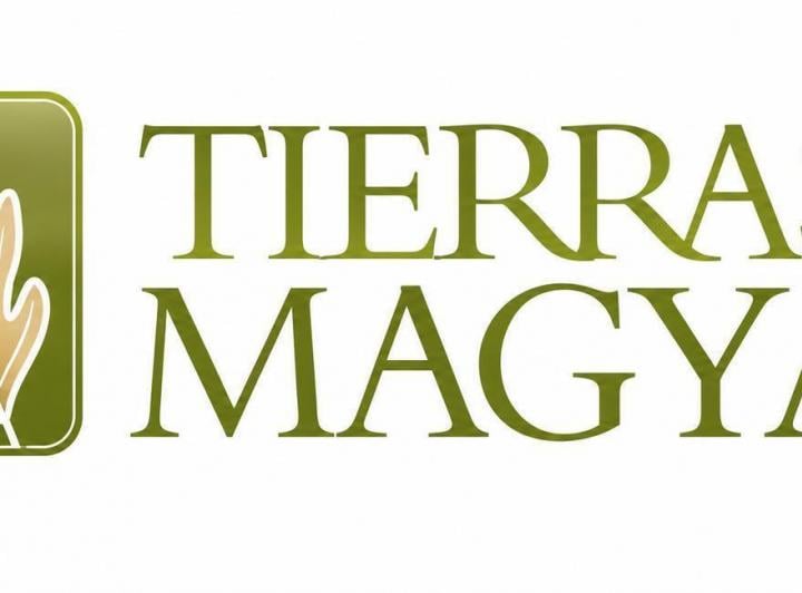 Terreno · 620m²
