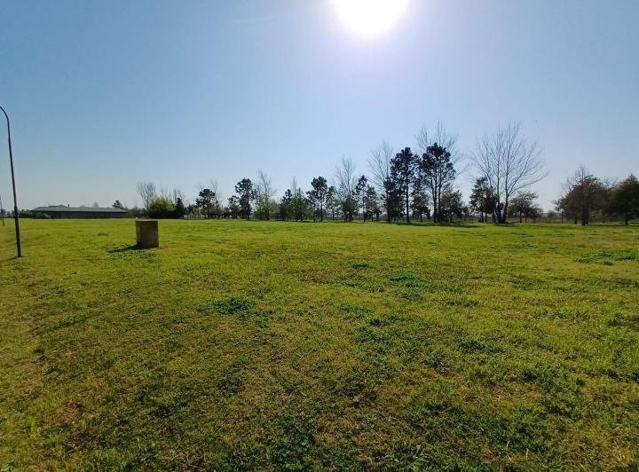 Terreno · 1000m²