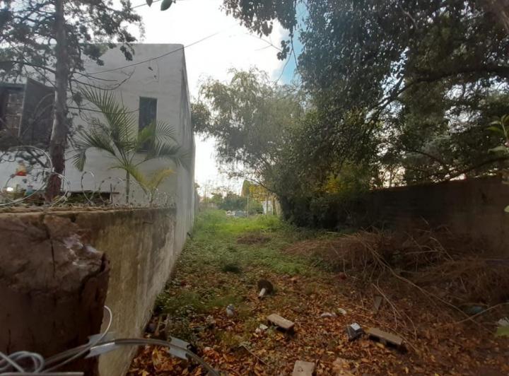 Terreno · 346m²