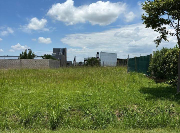 Terreno · 304m²
