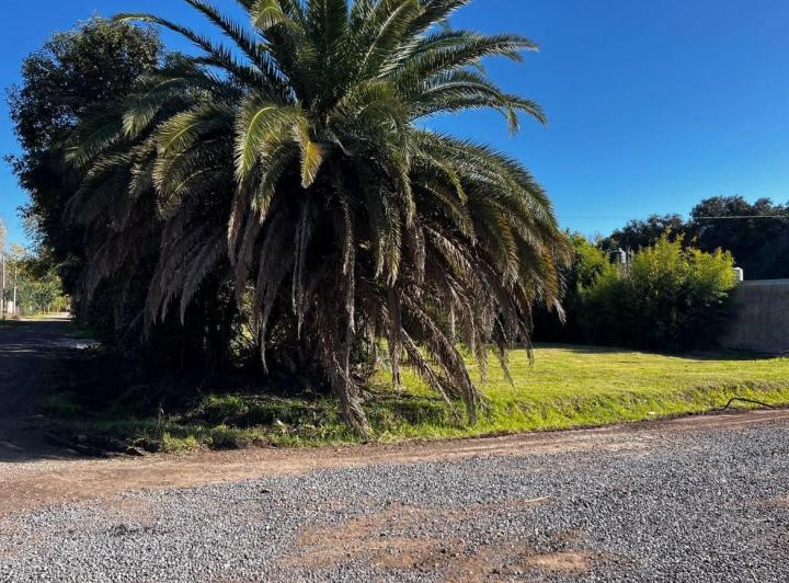 Terreno · 741m²