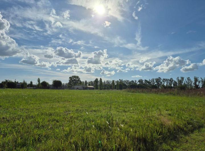 Terreno · 432m²