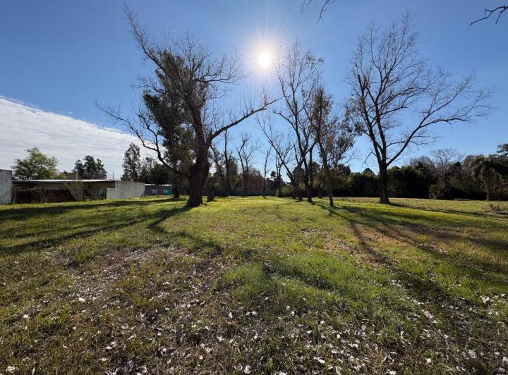 Terreno · 1365m²