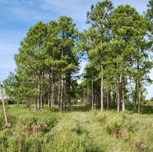 Terreno · 1060m²