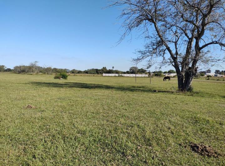 Terreno · 265m²