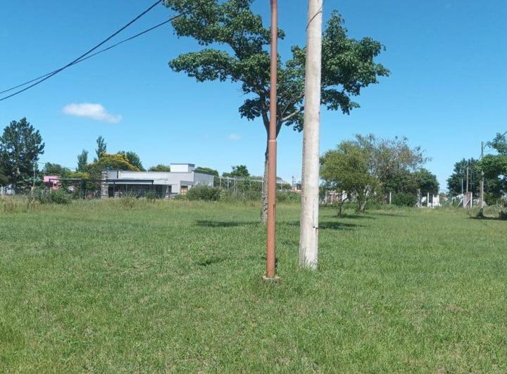 Terreno · 733m²
