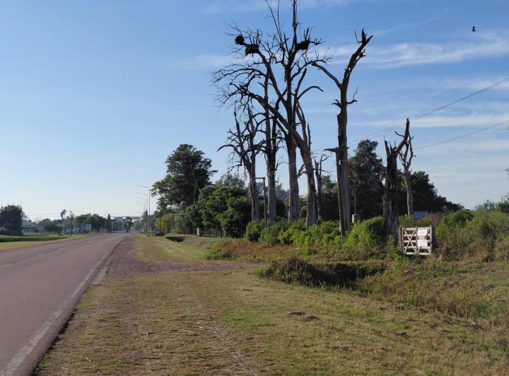 Terreno · 10ha