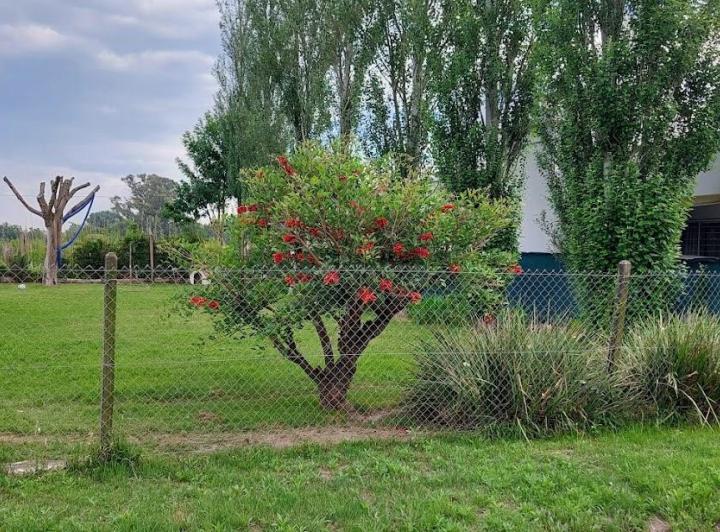 Terreno