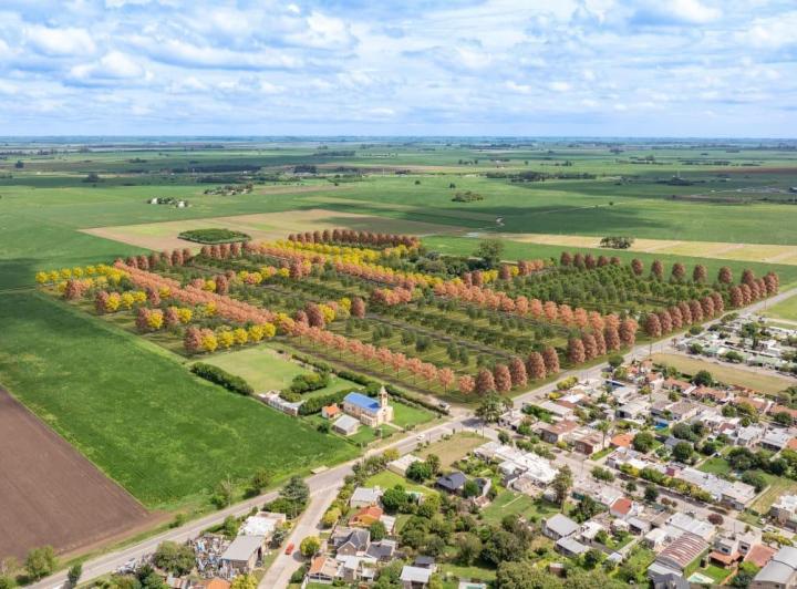 Terreno · 300m²