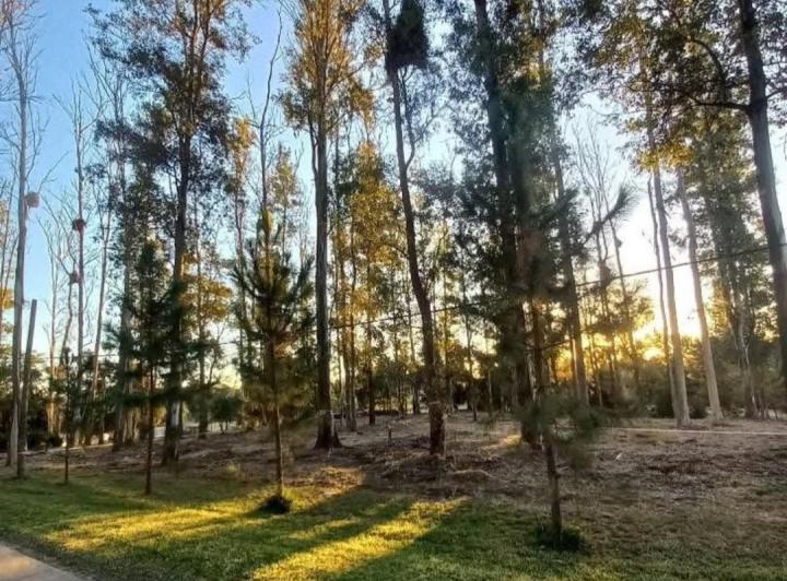 Terreno · 1200m²