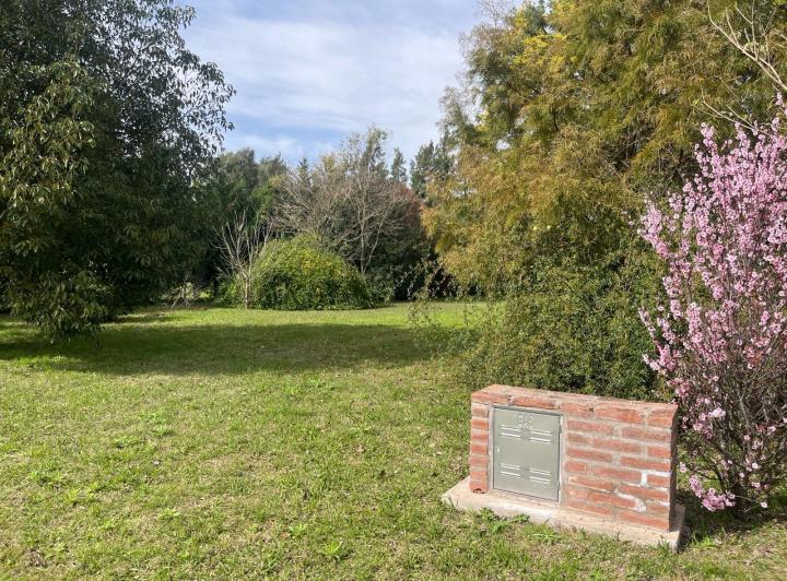 Terreno · 750m²