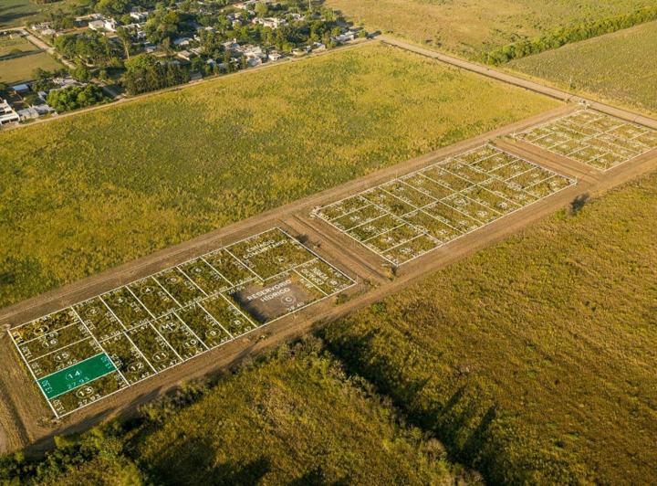 Terreno · 370m²