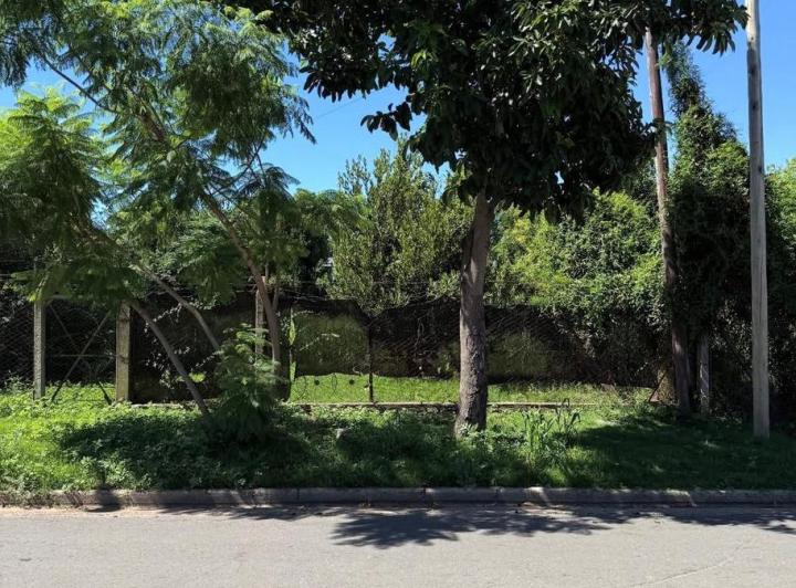 Terreno · 389m²