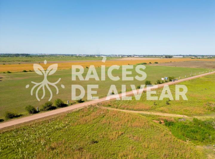 Terreno · 250m²