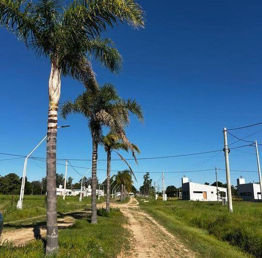 Terreno · 1000m²