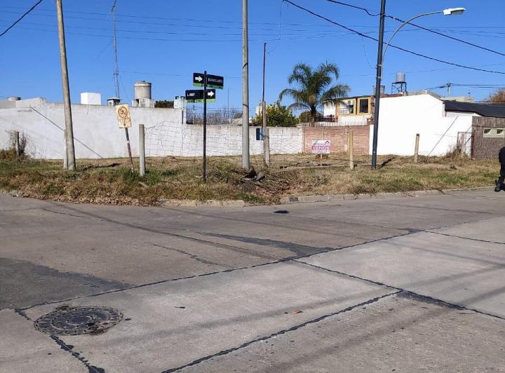 Terreno · 312ha