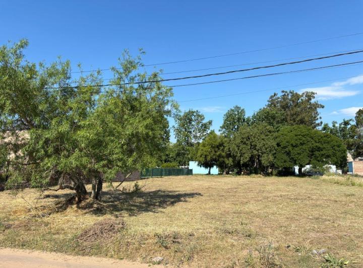 Terreno · 1030m²