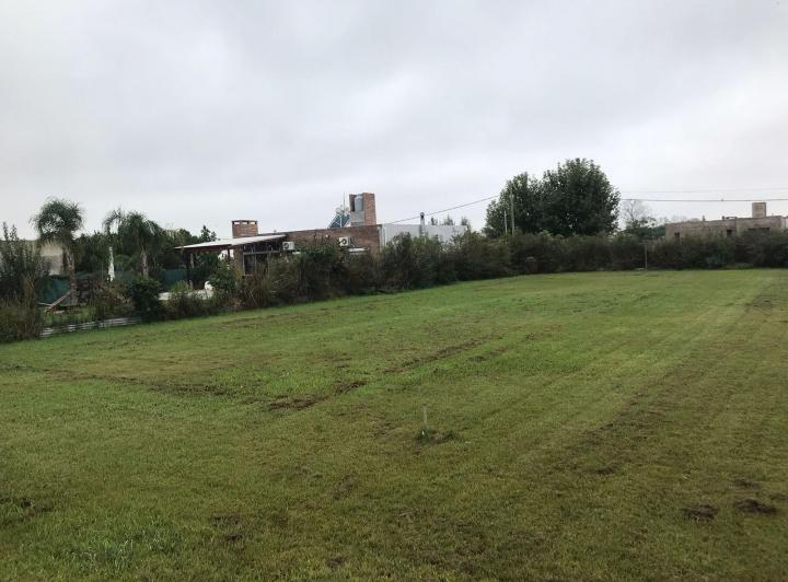 Terreno · 559m²