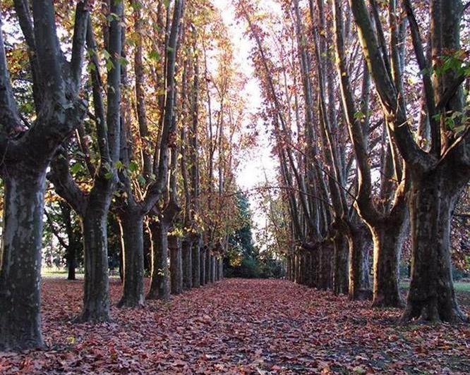 Terreno · 700m²