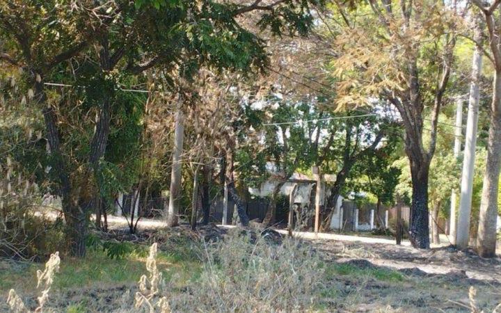 Terreno