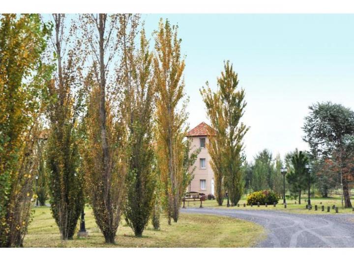 Terreno · 800m²