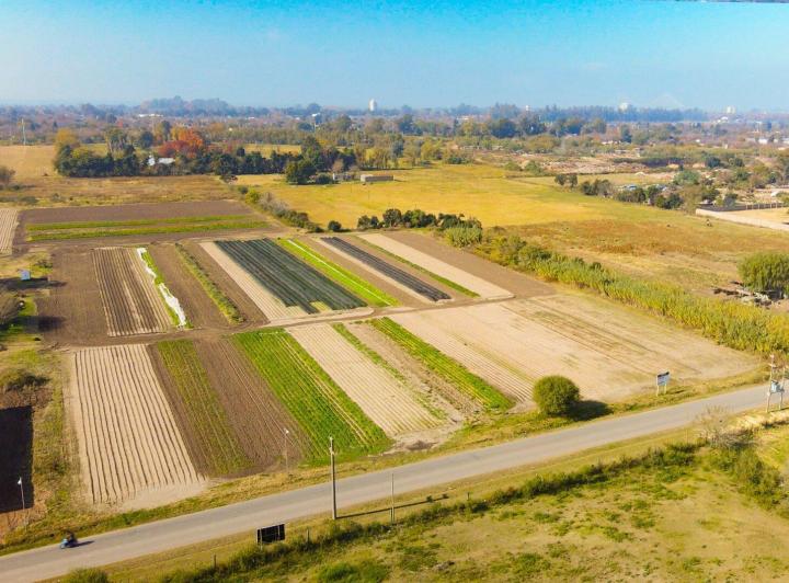 Terreno · 2500m²