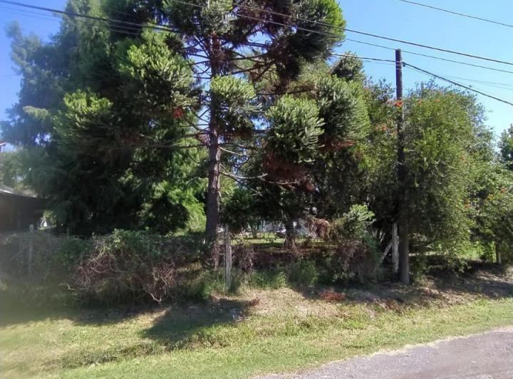 Terreno · 294m²