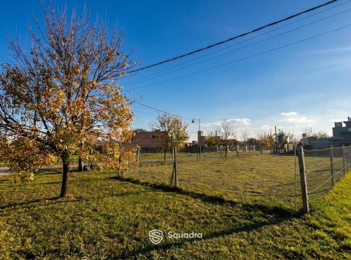 Terreno · 555m²