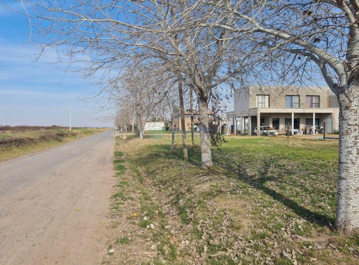 Terreno · 319m²