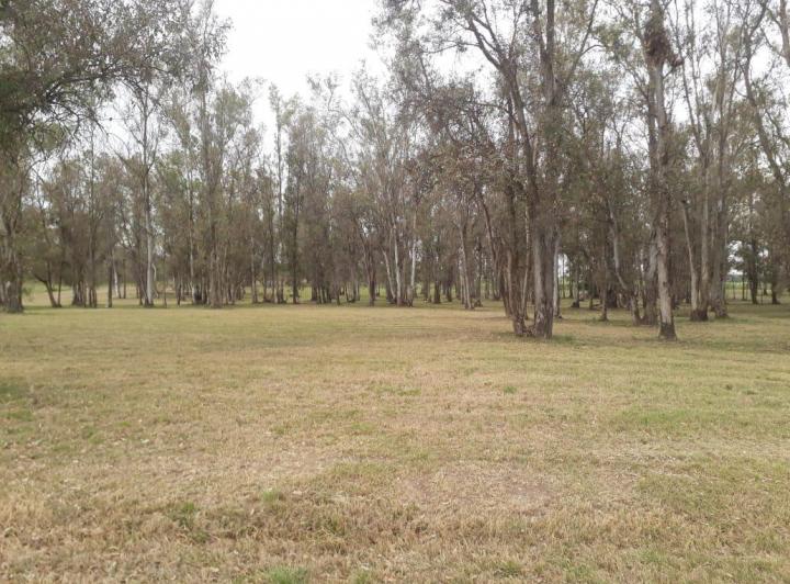 Terreno · 3000m²