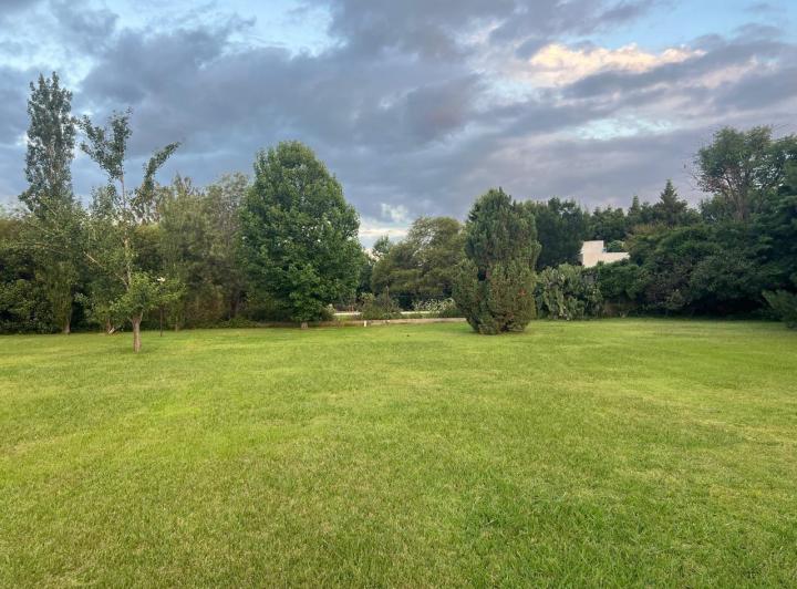 Terreno · 1000m²