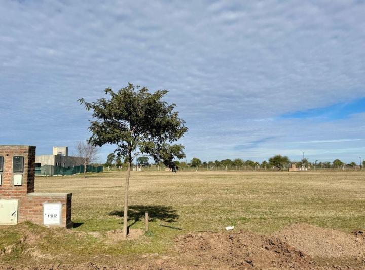 Terreno · 1000m²