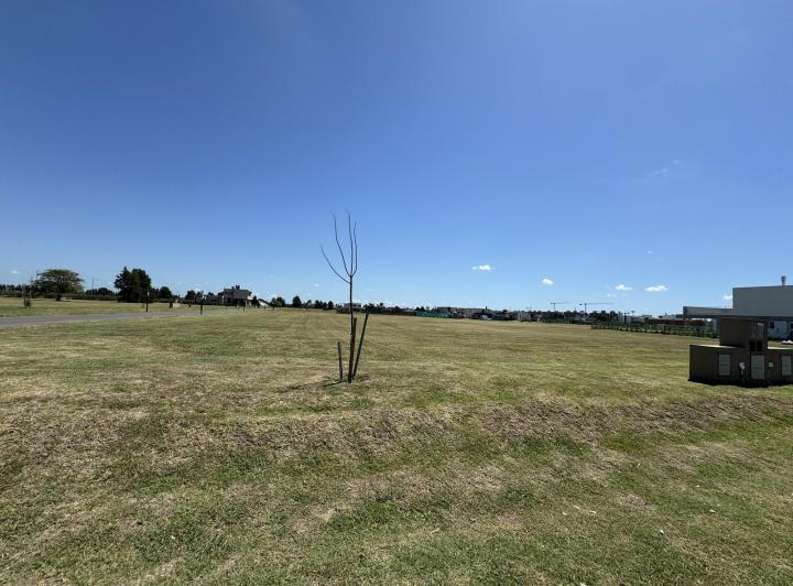 Terreno · 830m²