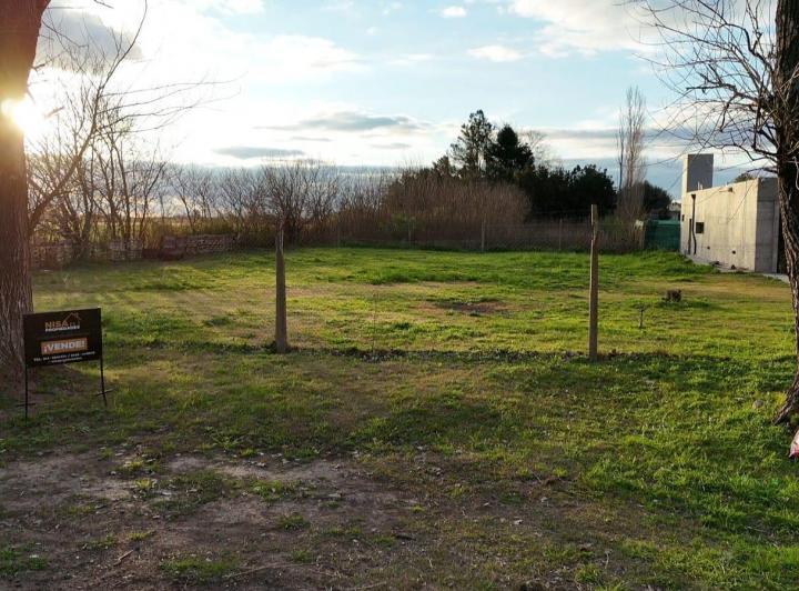 Terreno · 2000m²